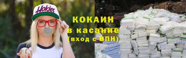 шишки Богданович