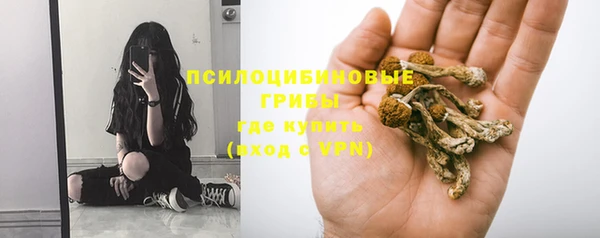 шишки Богданович