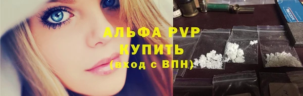 шишки Богданович